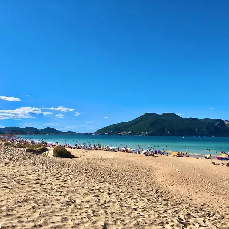 Sea *
